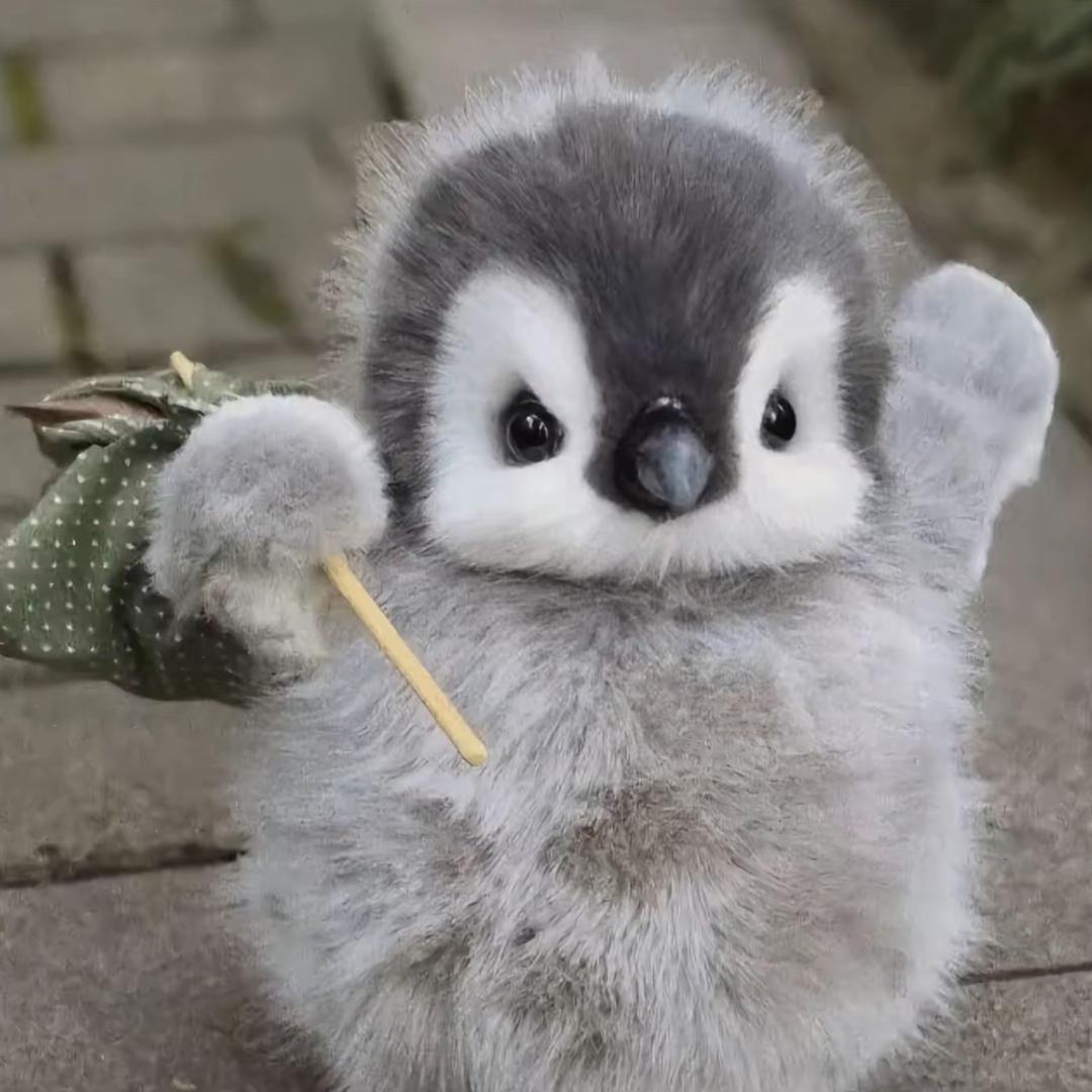 小企鹅🐧
