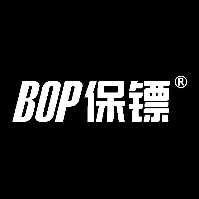 盐城滨海保镖Bop
