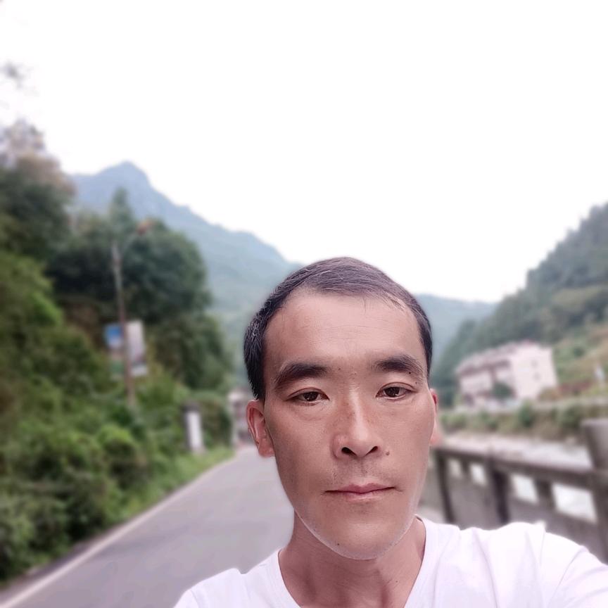 真心爱你一个人