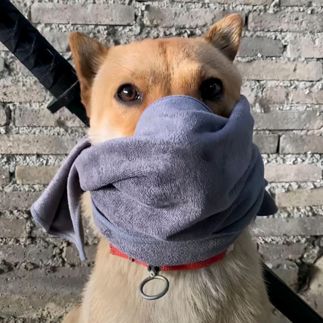 𝓤𝓷𝓻𝓮𝓺𝓾𝓲𝓽𝓮𝓭