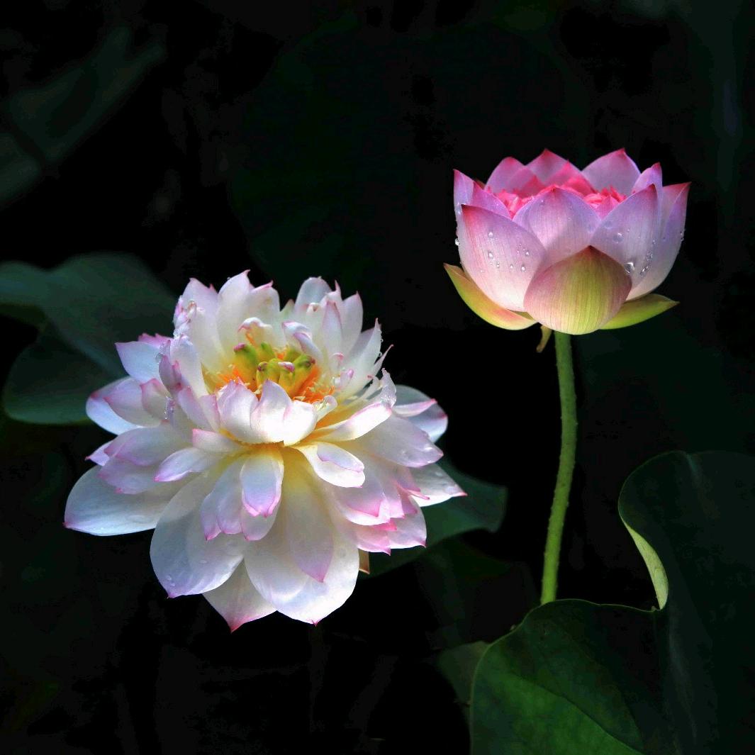 多年以后