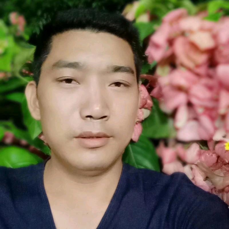 春天的太阳
