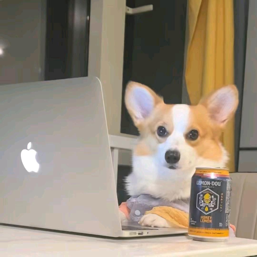 玉林脆皮小妹💃（招收学徒）