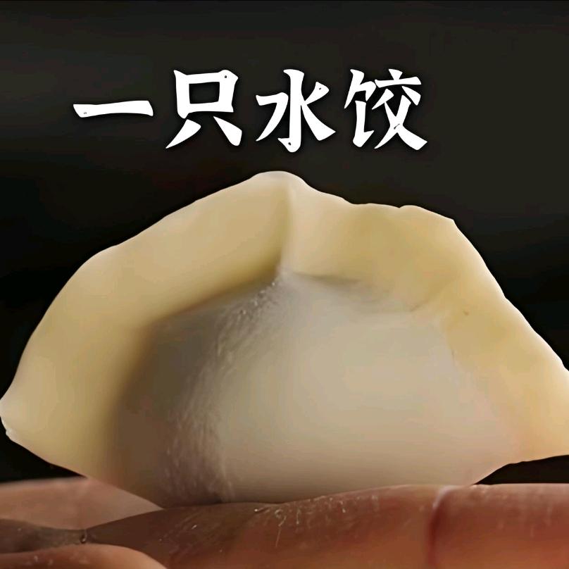一只小水饺ty
