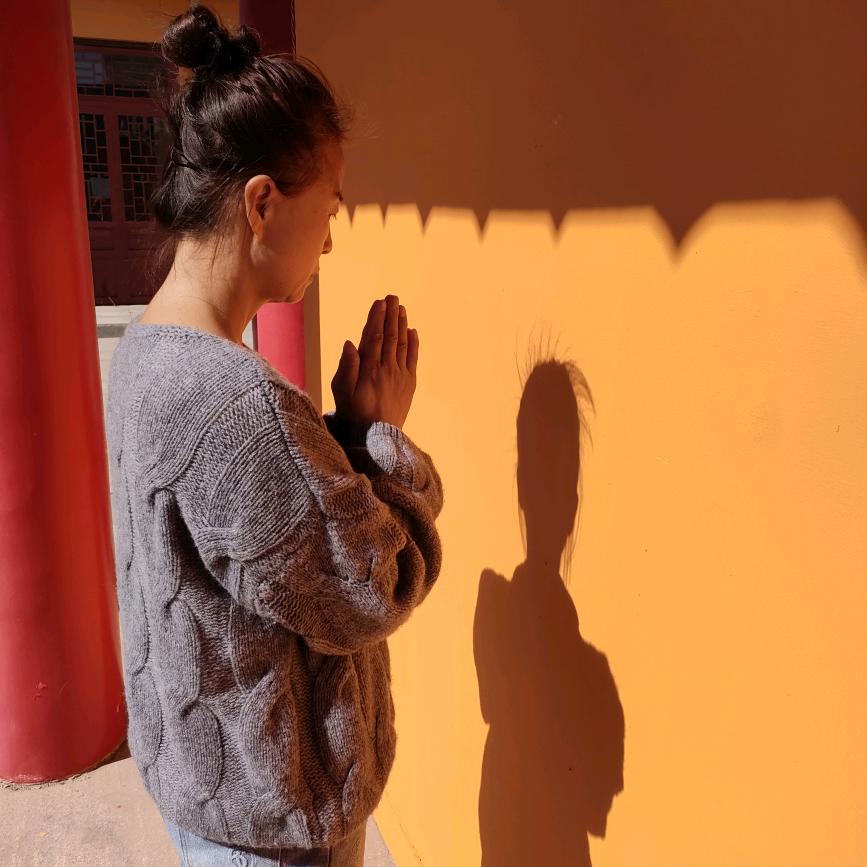 🌹鸟语花香🌹