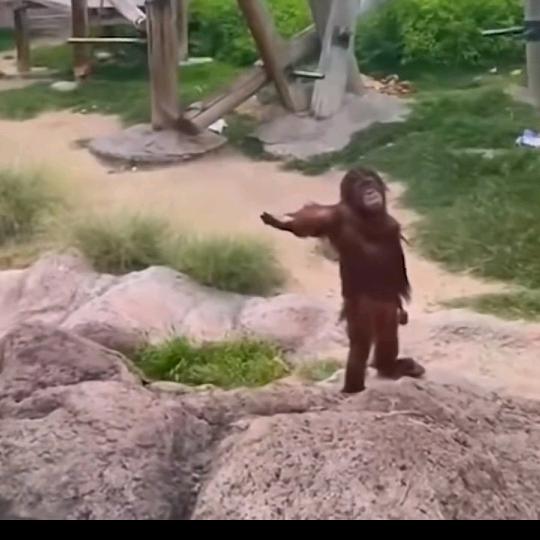 尚弟！