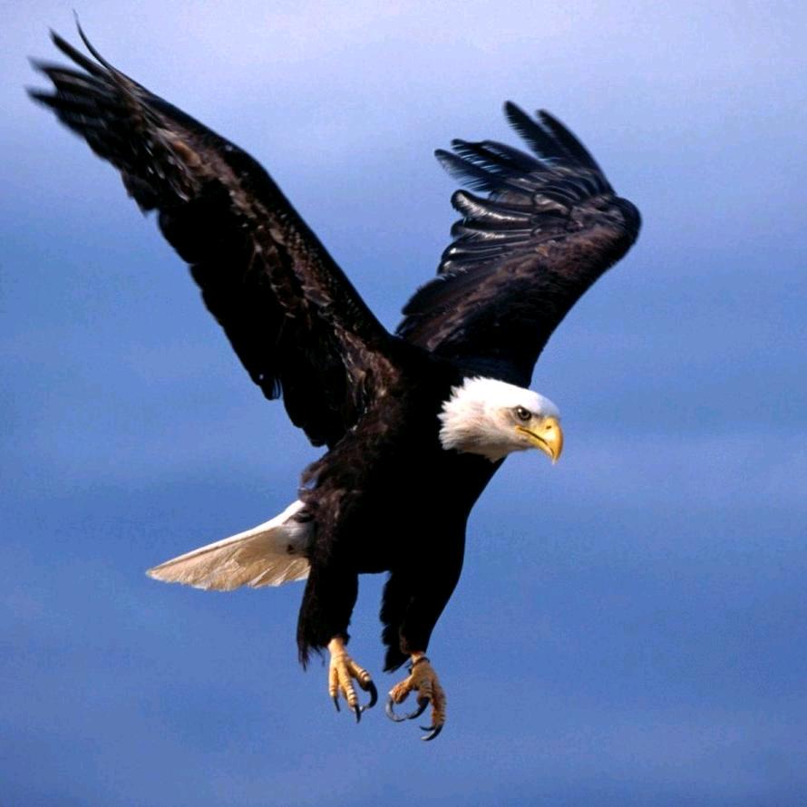 🚛一直在路上🚛