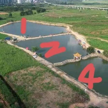 光明钓鱼场
