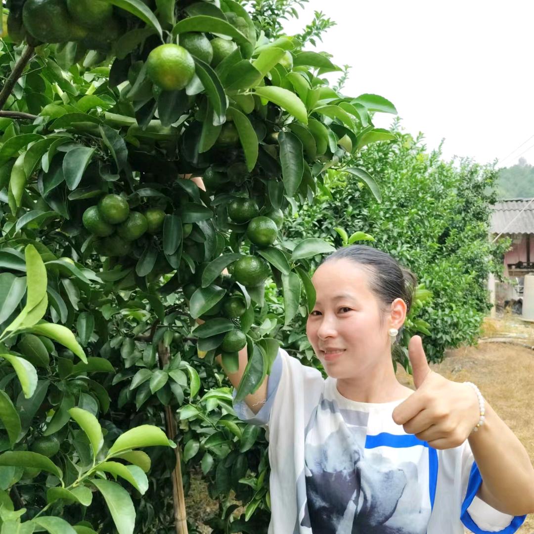 唐俪元（柑橘技术分享）