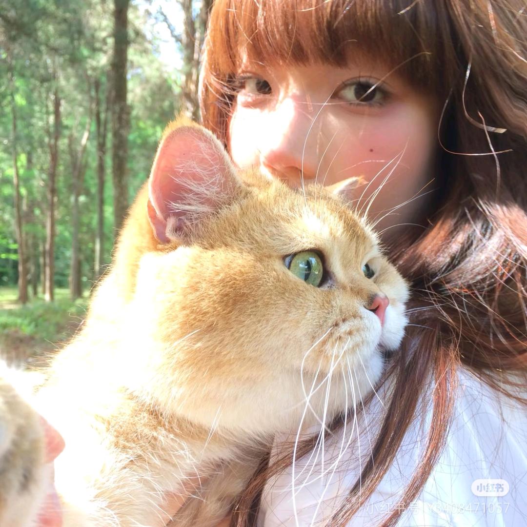 总是胃疼