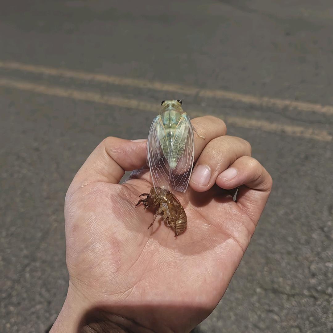 戏