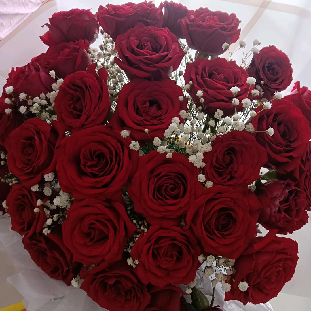 ༺ཌༀཉི余生随心༃ༀད༻