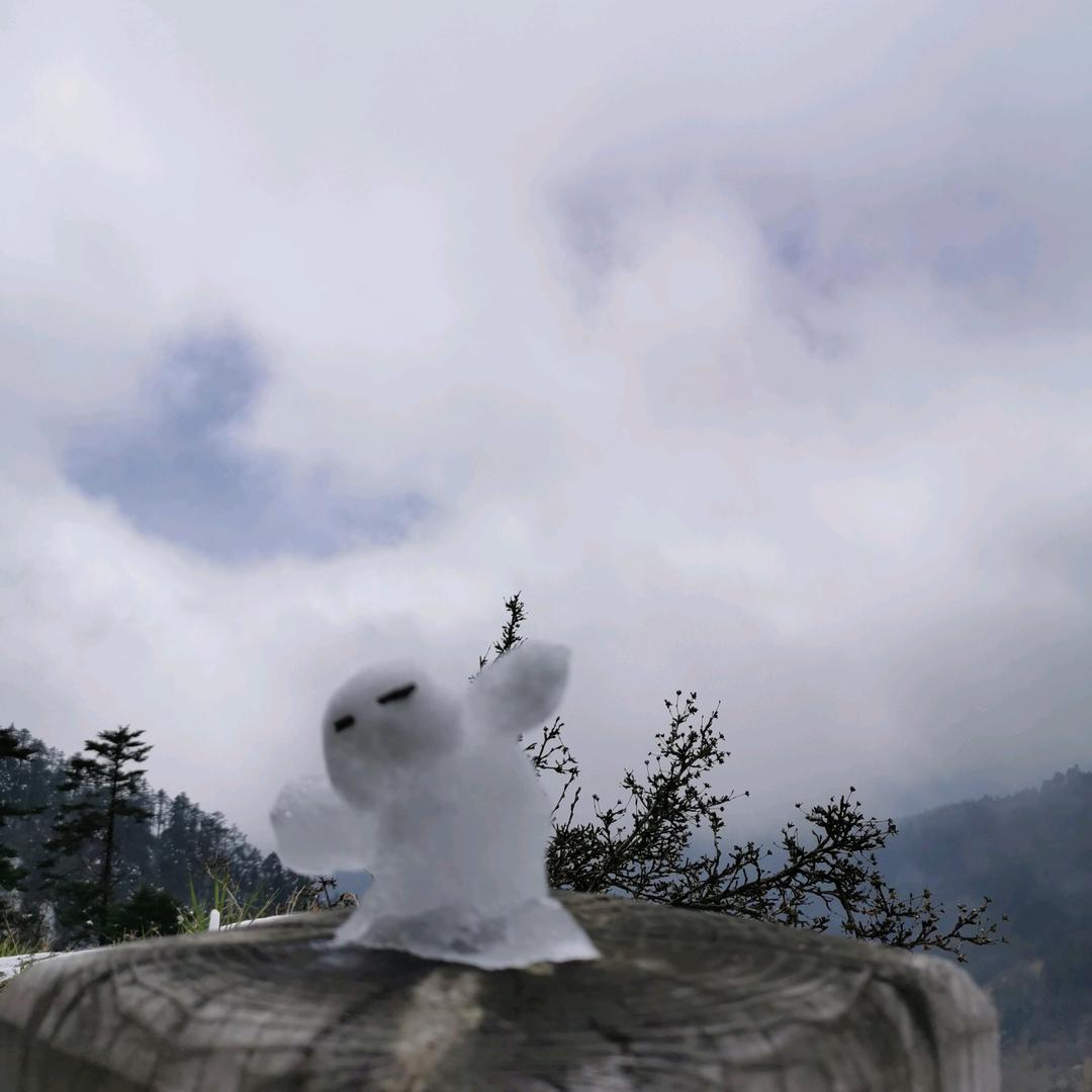 小杨