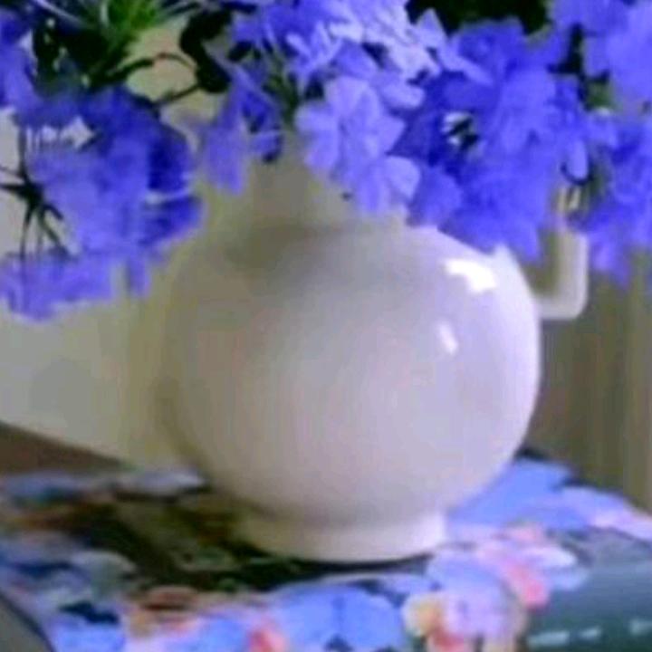 用户84316507425金牛的小猪