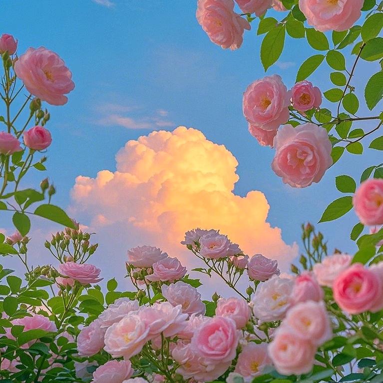 柯瘦多锦（长葛市颍川路店）