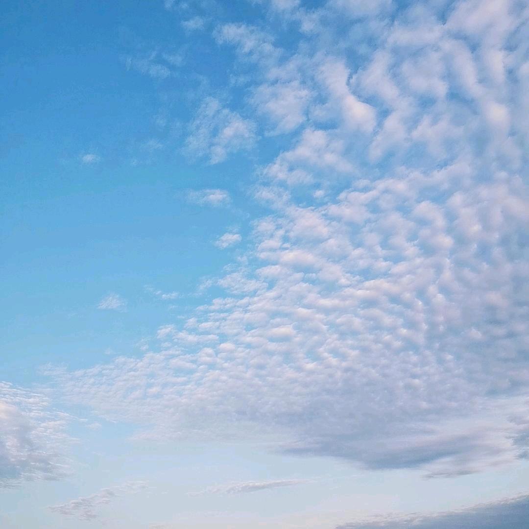 念念