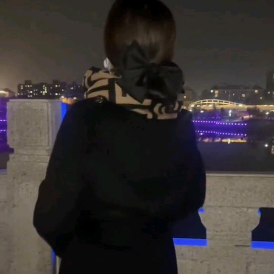 胖大婶.
