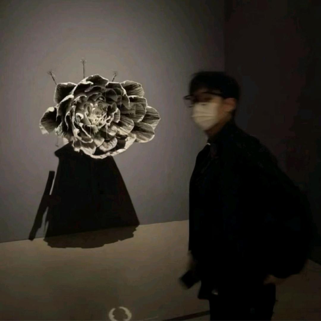 聚鑫数码音频@文鑫🎙️