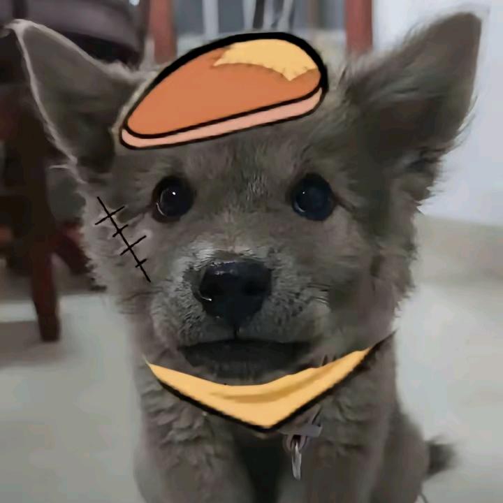 快乐陶不了