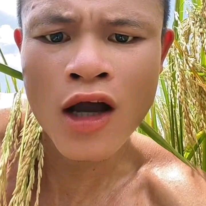 拾哥
