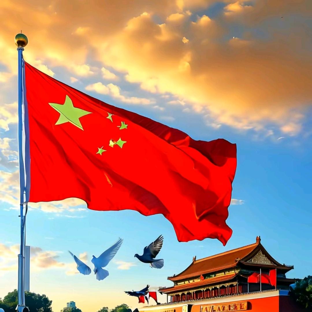 小杨班长🇨🇳