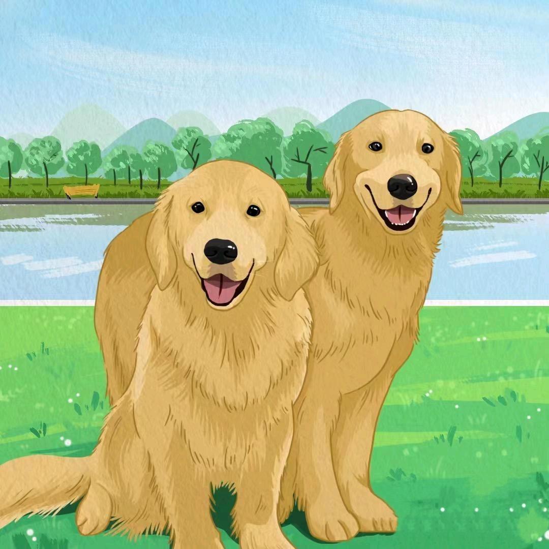 汉堡是金毛（猫狗省💰版）