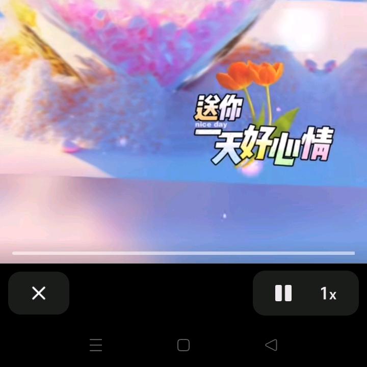 诺言💫💥