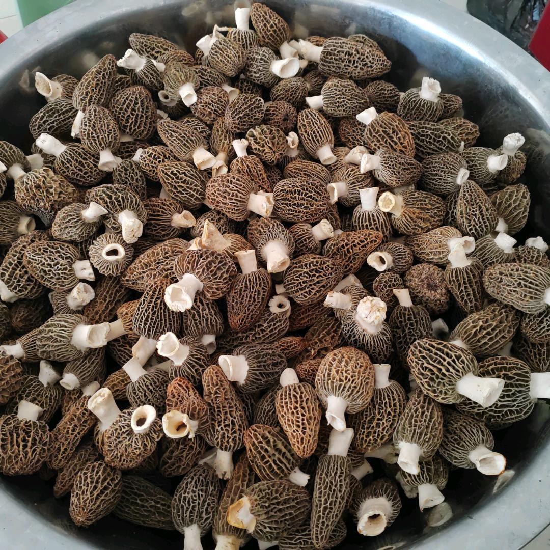 果果然然