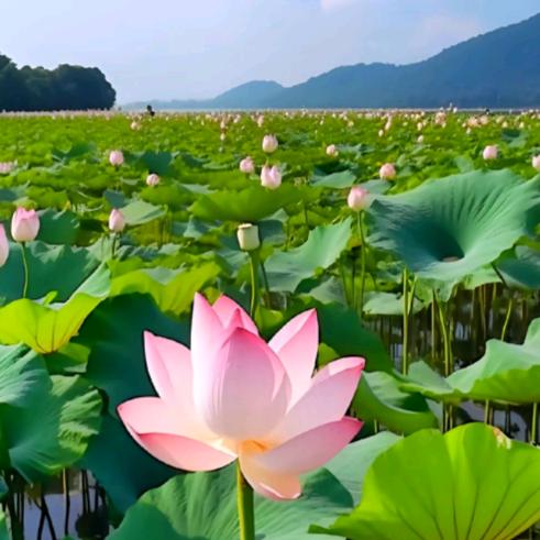 金玉满堂