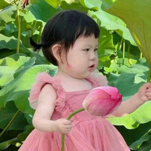 西红柿蛋花🍅🌺