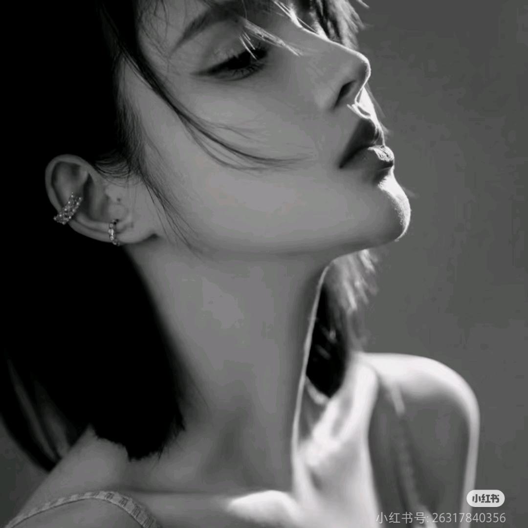 海棠（和平模拟器PC）