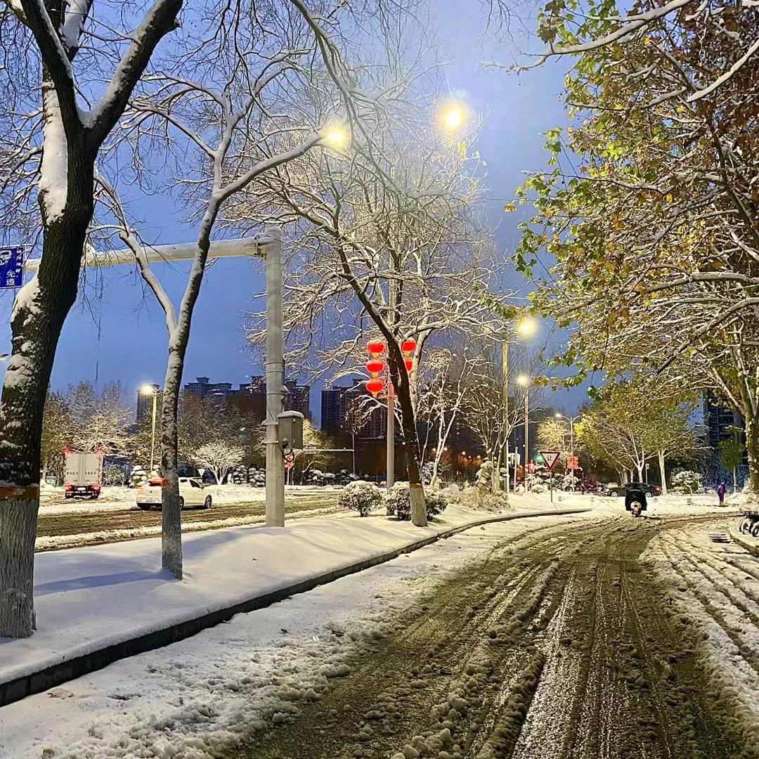 我自踏雪至山巅