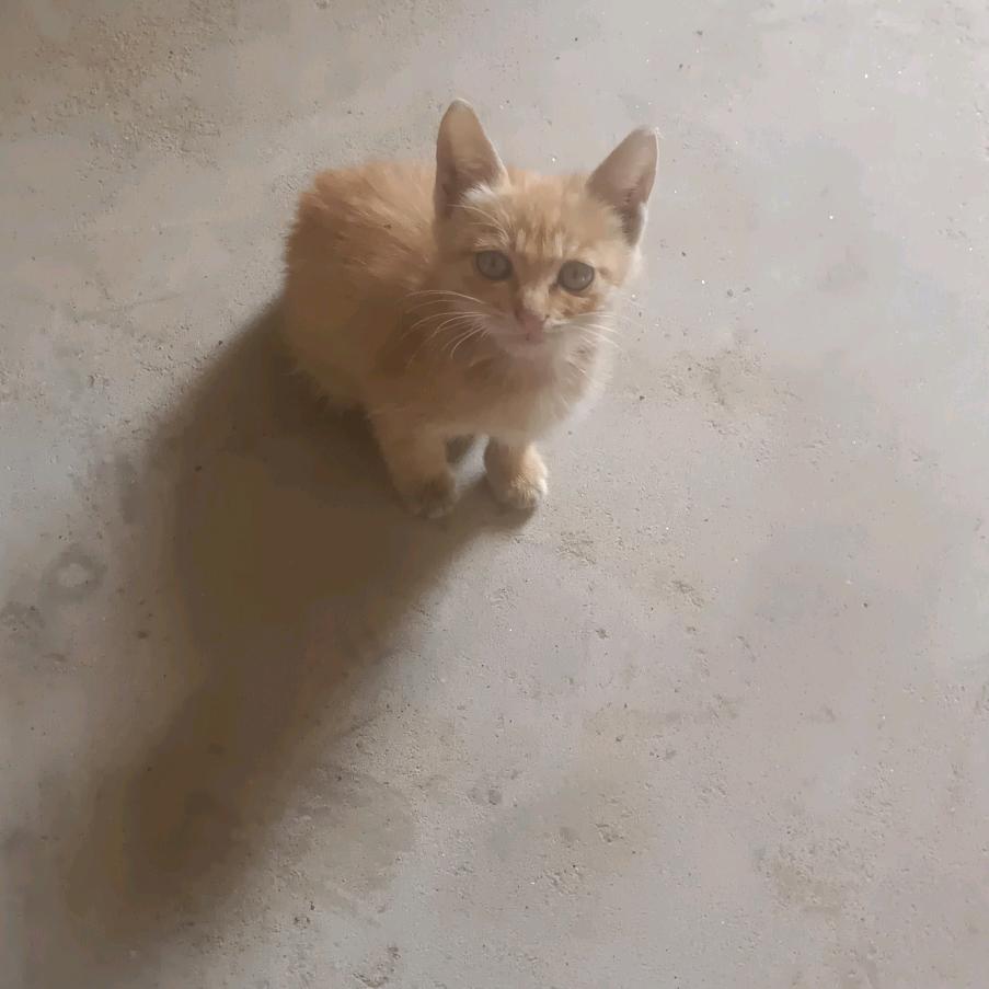 怎么快乐怎么来