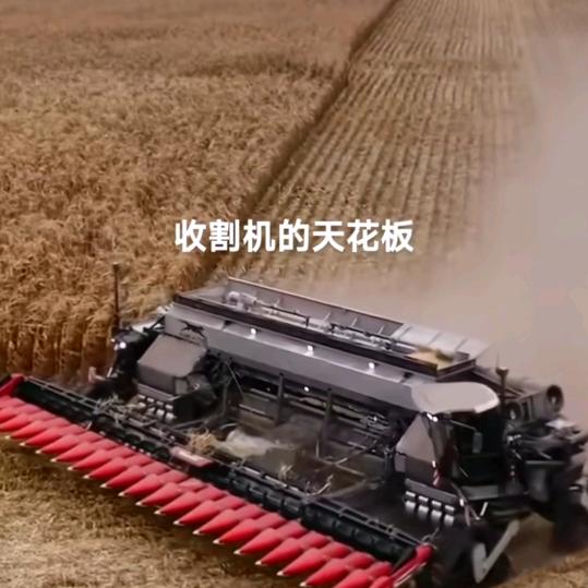 收割机李俊