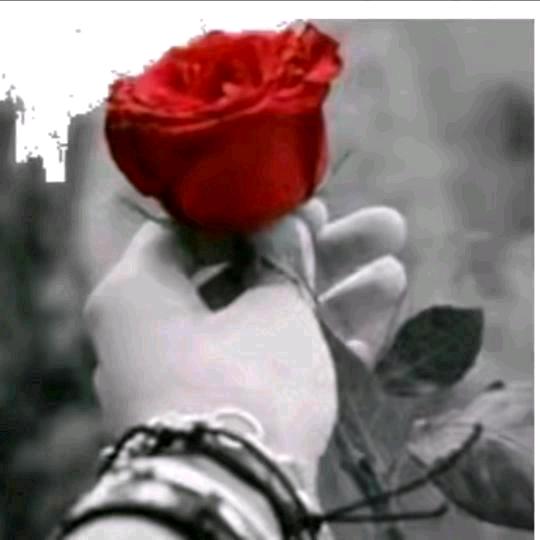 ࿐¹³₇₆ སེམས།❤️