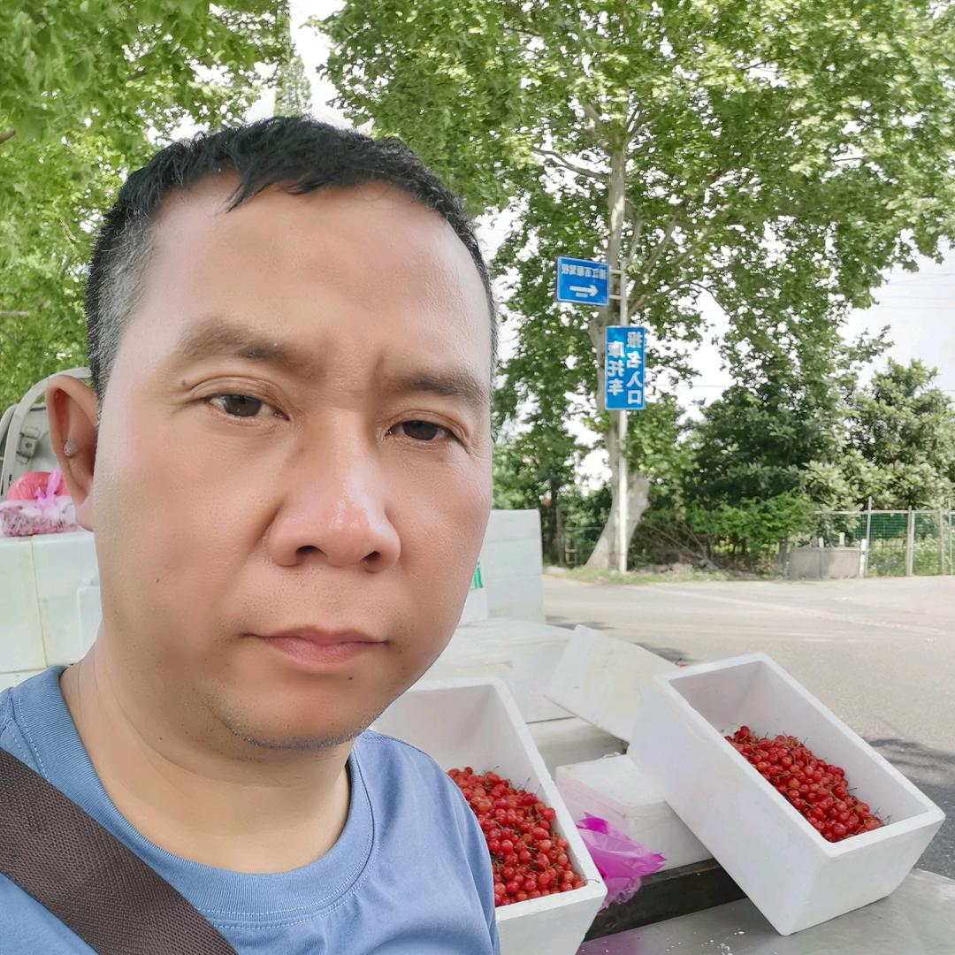流泪的鱼