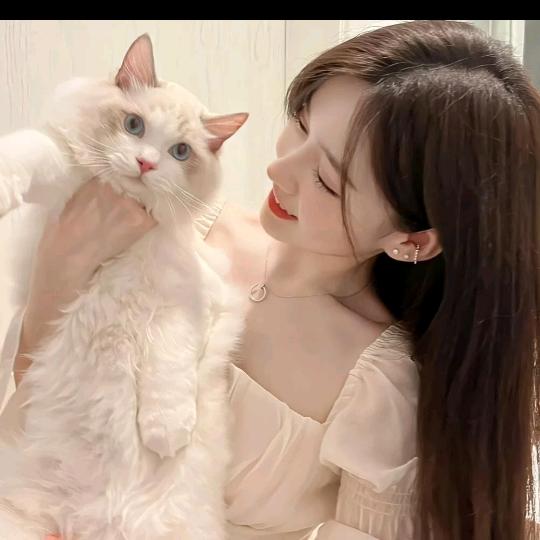 遇见你❤