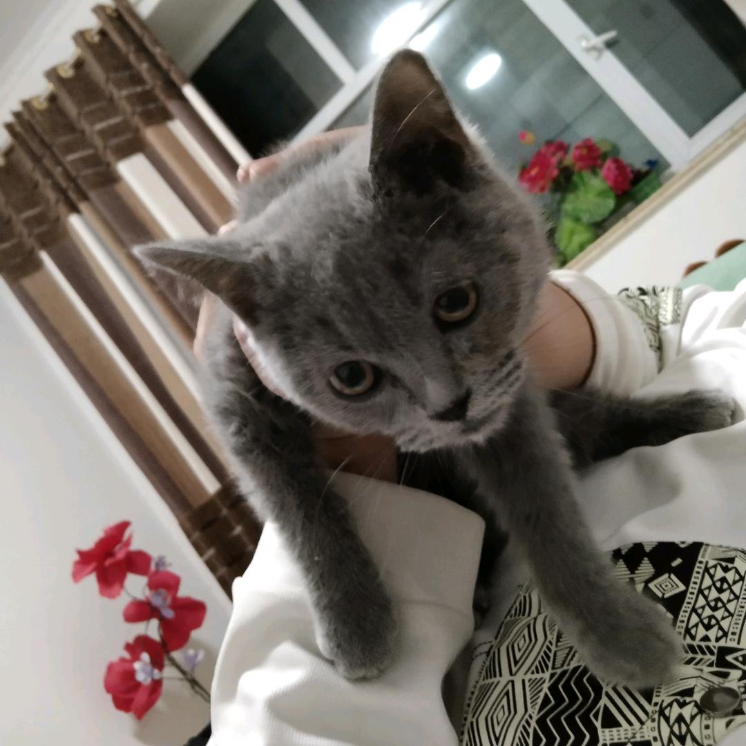 万事顺心
