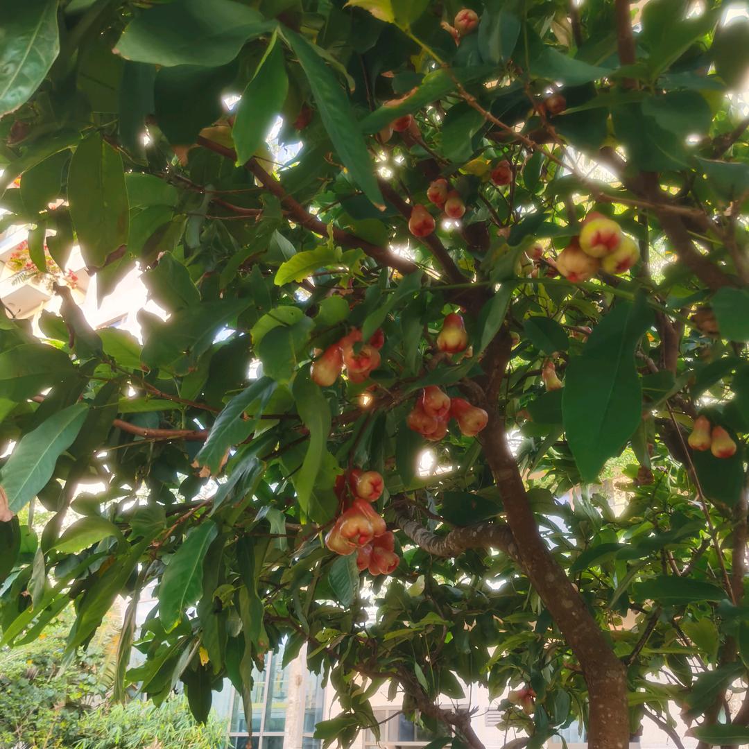 爱好文艺一起来