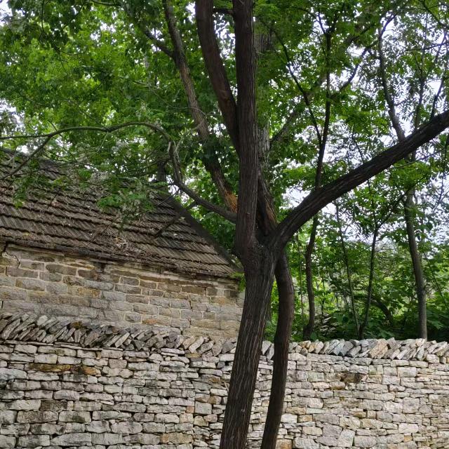 色彩，只是为了掩饰黑白