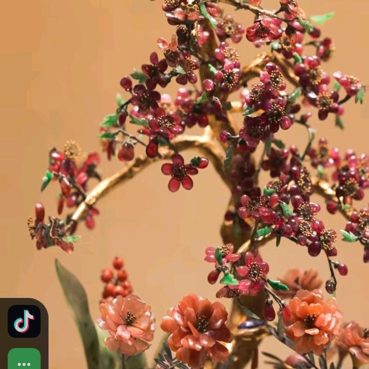 芝芝1