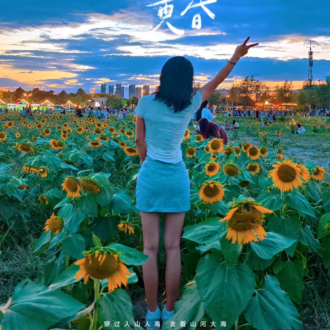 精灵