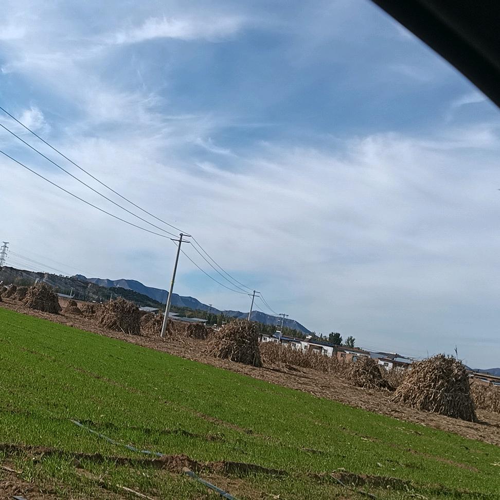 房车旅行