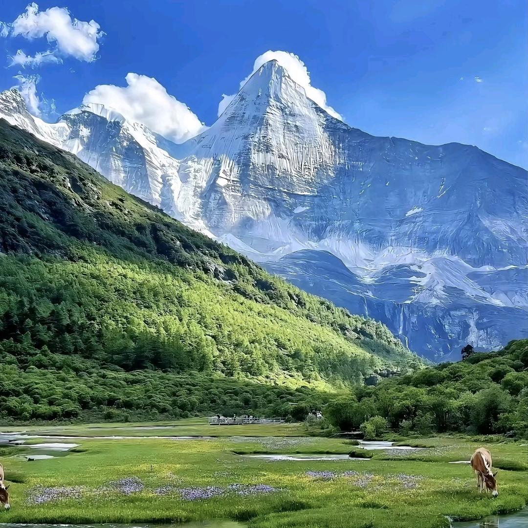 锦绣山河