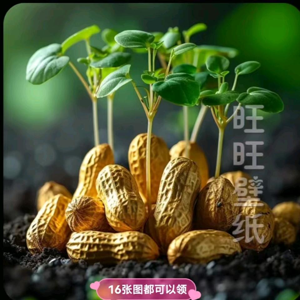 云儿养生会所
