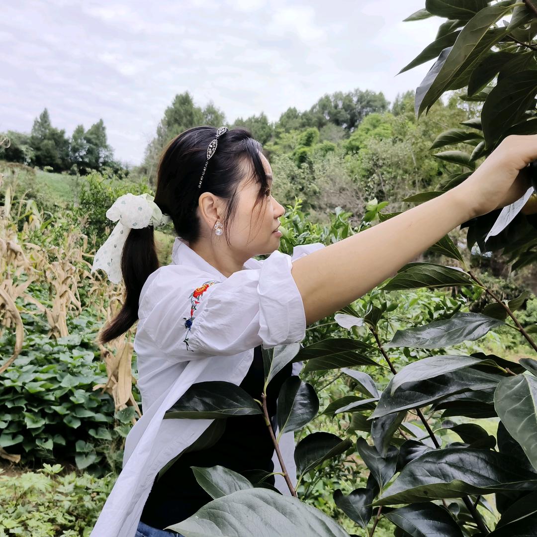 愿梦