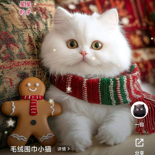 外卖小扒菜