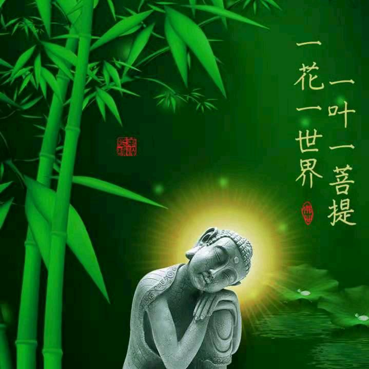 用户杨ㅤ ㅤ‍‍