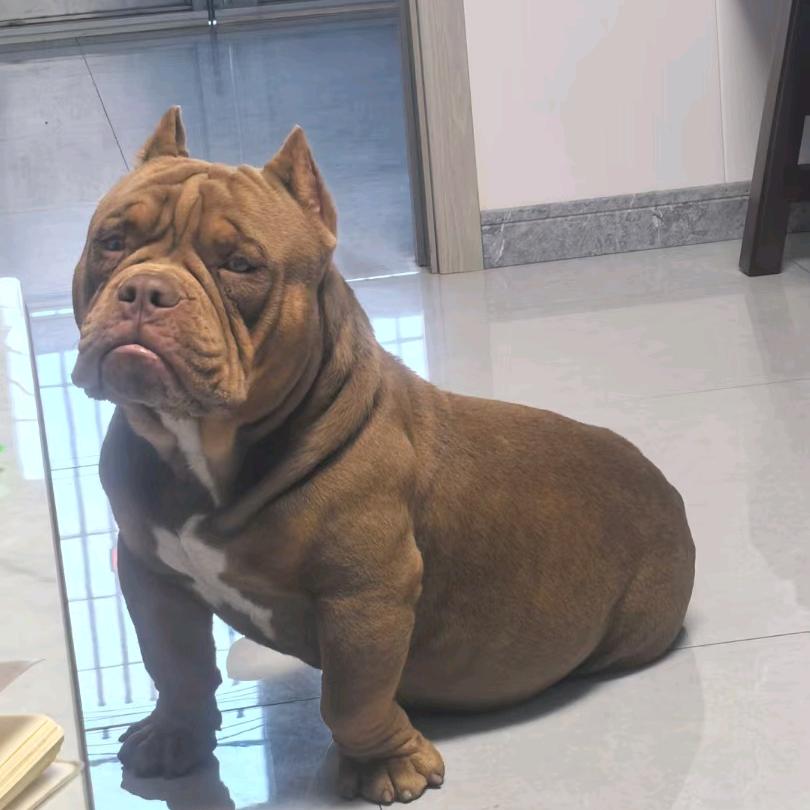 ❤️❤️爱笑的眼睛💚💚