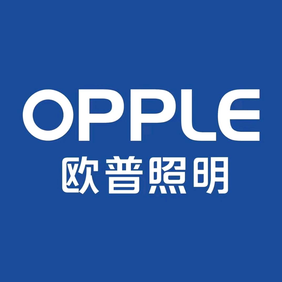水电材料 灯饰照明｜老陆
